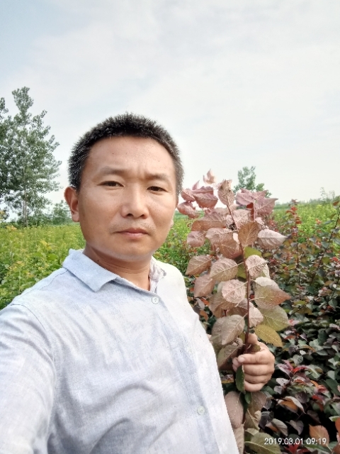 孩子爸的第二张照片--徐州残疾人相亲网